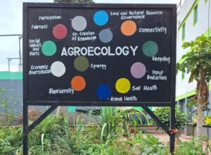 Principles of Agroecology